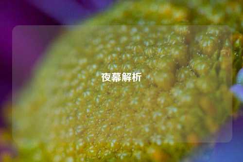 夜幕解析