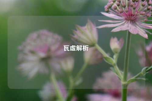 瓦虚解析