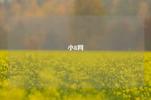 小B网